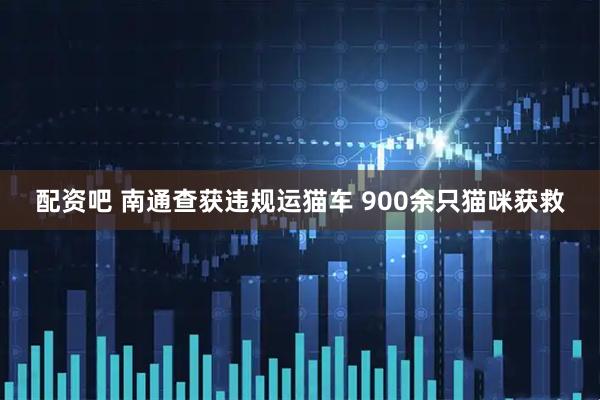 配资吧 南通查获违规运猫车 900余只猫咪获救