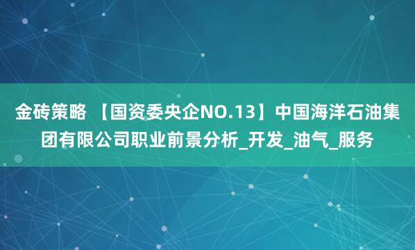 金砖策略 【国资委央企NO.13】中国海洋石油集团有限公司职业前景分析_开发_油气_服务